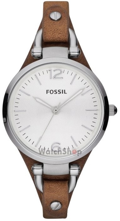 ceas fossil